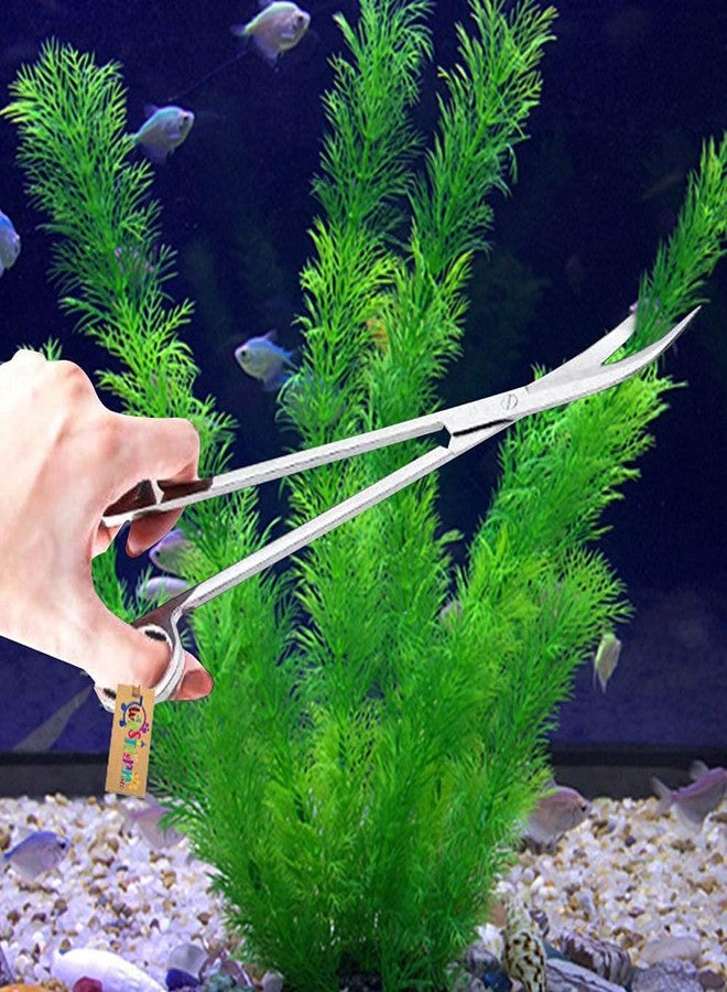 ويستيرن إرا مقص كبير الحجم من الفولاذ المقاوم للصدأ، أداة طويلة مستقيمة لتنسيق أحواض السمك وتنظيف النباتات المائية، من ويسترن إيرا - Image 1